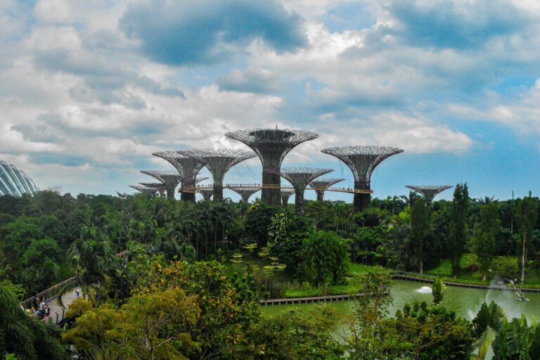 Iconic Supertree structures amidst lush greenery at Singapore's Gardens by the Bay.